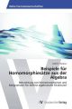 Beispiele für Homomorphiesätze aus der Algebra