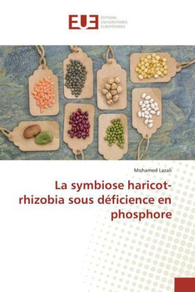 La symbiose haricot-rhizobia sous déficience en phosphore