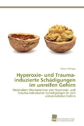Hyperoxie- und Trauma-induzierte Schädigungen im unreifen Gehirn
