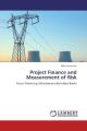 Project Fice and Measurement of Risk