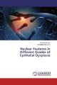 Nuclear Features in Different Grades of Epithelial Dysplasia