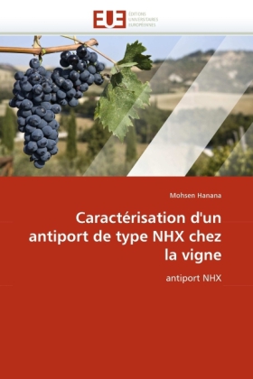 Caractérisation d'un antiport de type NHX chez la vigne