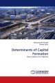 Determits of Capital Formation