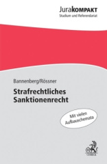 Strafrechtliches Sanktionenrecht