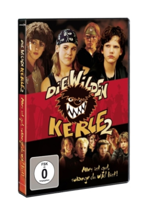 Die wilden Kerle 2 - Der Film, 1 DVD