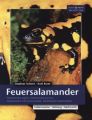 Feuersalamander