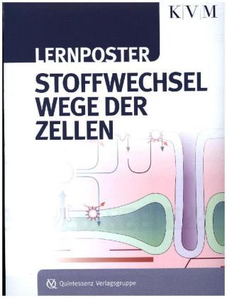 Lernposter Stoffwechselwege der Zellen