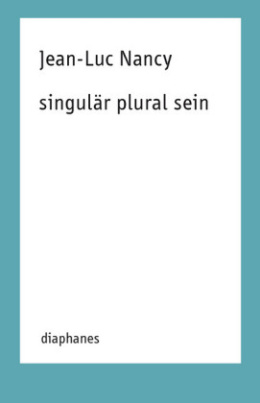 singulär plural sein