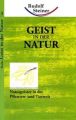 Geist in der Natur