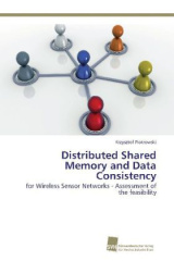 Distributed Shared Memory and Data Consistency