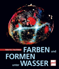 Farben und Formen unter Wasser