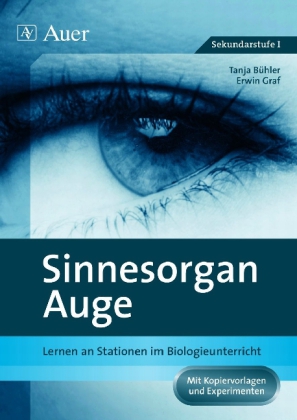 Sinnesorgan Auge