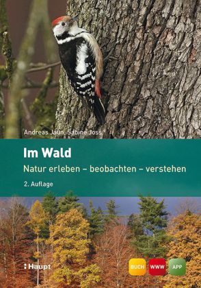 Im Wald