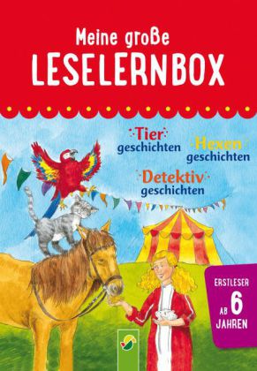 Meine große Leselernbox - Tiergeschichten, Hexengeschichten, Detektivgeschichten, 3 Bde.