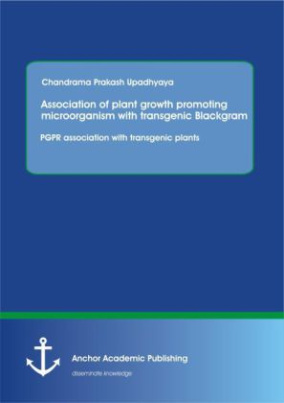 Association of plant growth promoting microorganism with transgenic Blackgram: PGPR association with transgenic plants