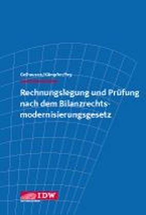 Rechnungslegung und Prüfung nach dem Bilanzrechtsmodernisierungsgesetz