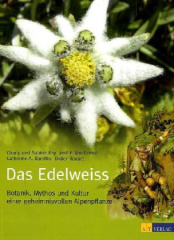 Das Edelweiss