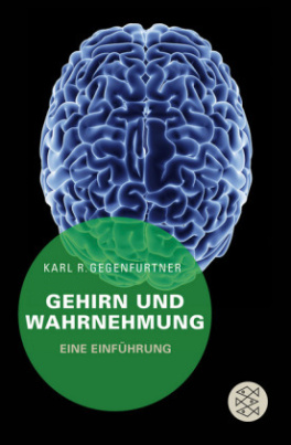 Gehirn und Wahrnehmung