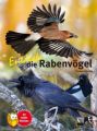 Entdecke die Rabenvögel