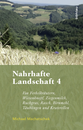 Nahrhafte Landschaft 4