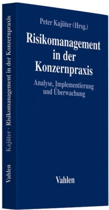 Risikomanagement in der Konzernpraxis