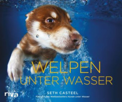 Welpen unter Wasser