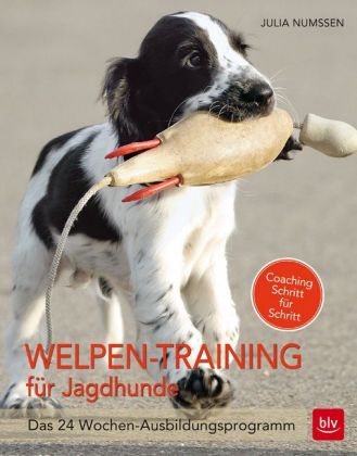 Welpen-Training für Jagdhunde