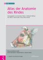 Atlas der Anatomie des Rindes