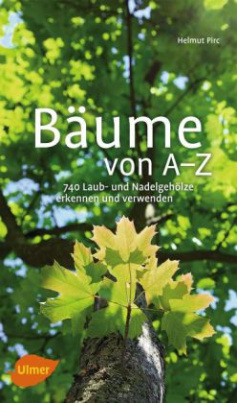 Bäume von A-Z