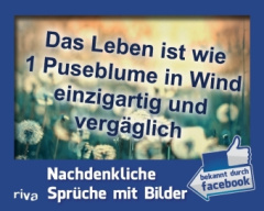 Das Leben ist wie 1 Puseblume in Wind einzigartig und vergäglich