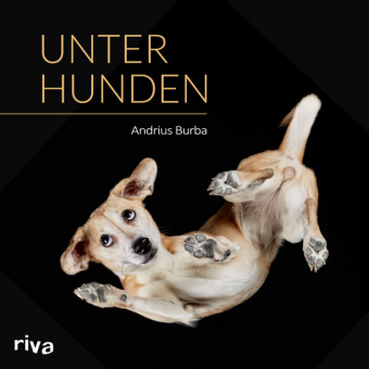 Unter Hunden