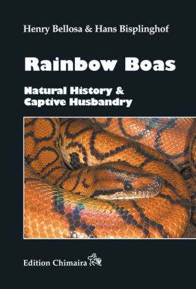 Rainbow Boas