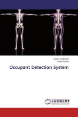 Occupant Detection System