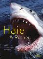 Haie & Rochen