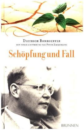 Schöpfung und Fall