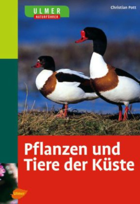 Pflanzen und Tiere der Küste