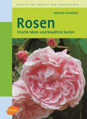 Rosen