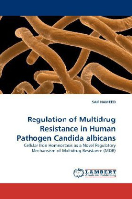 Regulation of Multidrug Resistance in Human Pathogen Candida albicans