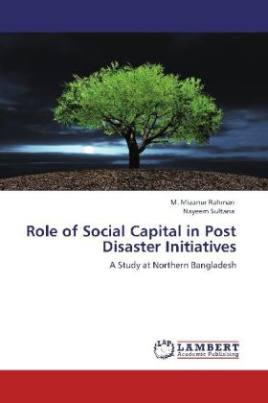 Role of Social Capital in Post Disaster Initiatives