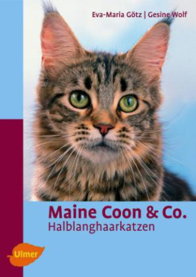 Maine Coon & Co.