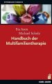 Handbuch der Multifamilientherapie