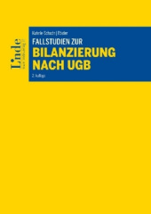 Fallstudien zur Bilanzierung nach UGB (f. Österreich)