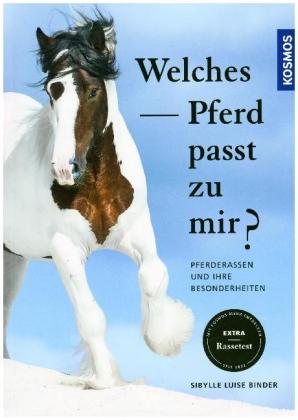 Welches Pferd passt zu mir?