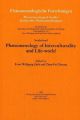 Phenomenology of Interculturality and Life-world