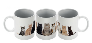 Tasse 7 Katzen