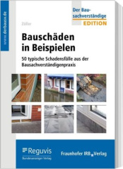 Bauschäden in Beispielen