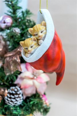 Katzenbabys in Weihnachtsmütze