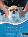 Hydrotherapie bei Hunden