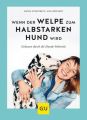 Wenn der Welpe zum halbstarken Hund wird