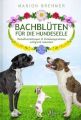 Bachblüten für die Hundeseele